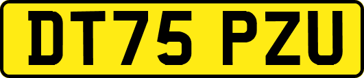 DT75PZU