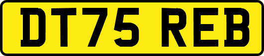 DT75REB