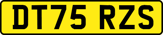 DT75RZS