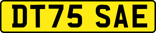 DT75SAE