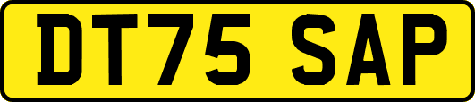 DT75SAP