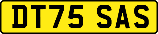DT75SAS