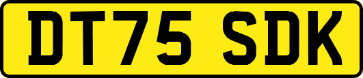 DT75SDK