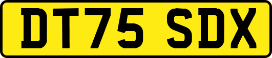 DT75SDX