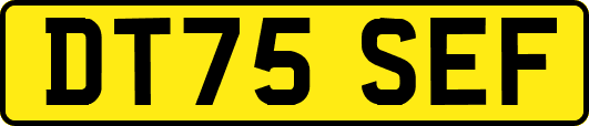 DT75SEF