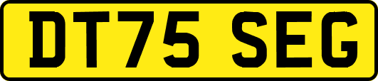 DT75SEG