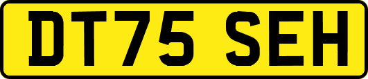 DT75SEH