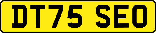 DT75SEO