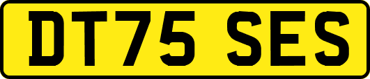 DT75SES