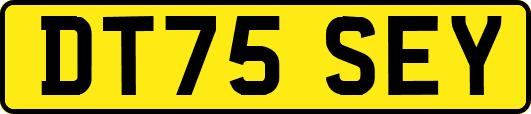 DT75SEY