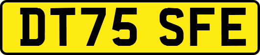 DT75SFE