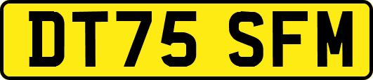DT75SFM