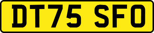 DT75SFO