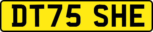 DT75SHE