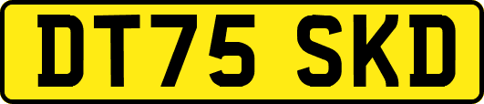 DT75SKD