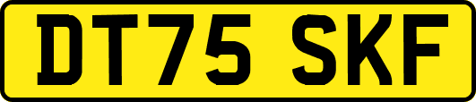 DT75SKF