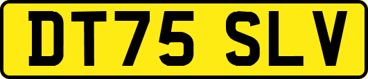 DT75SLV