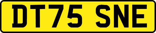 DT75SNE
