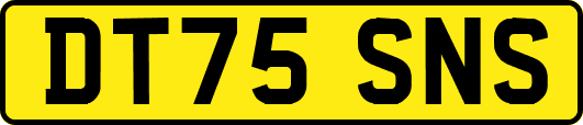 DT75SNS
