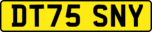 DT75SNY