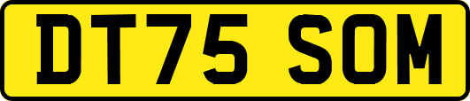 DT75SOM