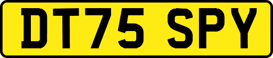 DT75SPY