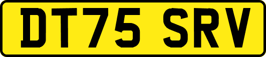 DT75SRV