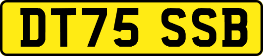 DT75SSB