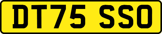 DT75SSO