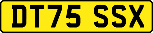 DT75SSX