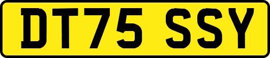 DT75SSY
