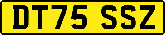 DT75SSZ
