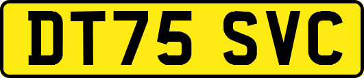 DT75SVC