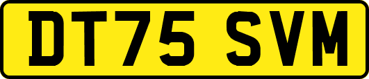 DT75SVM