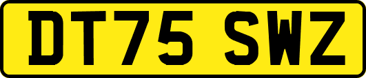 DT75SWZ