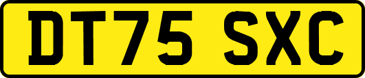 DT75SXC