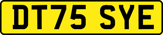 DT75SYE