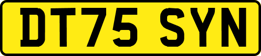 DT75SYN