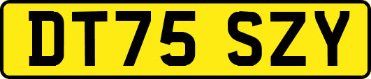 DT75SZY