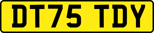 DT75TDY