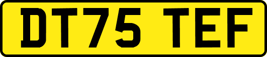 DT75TEF