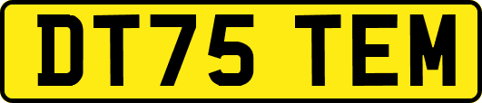 DT75TEM