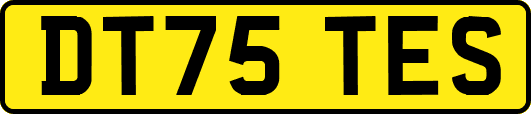 DT75TES