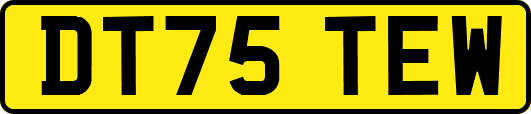 DT75TEW