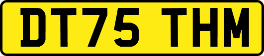 DT75THM