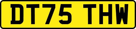 DT75THW
