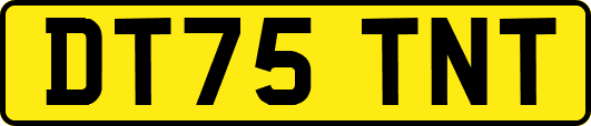 DT75TNT