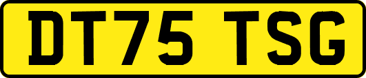 DT75TSG