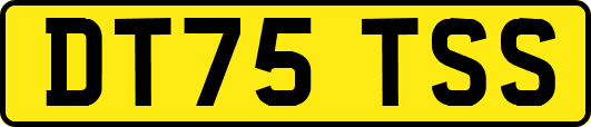 DT75TSS