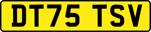 DT75TSV